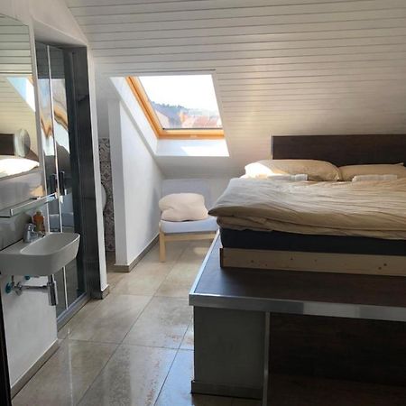 Apartman Krystof Františkovy Lázně 外观 照片