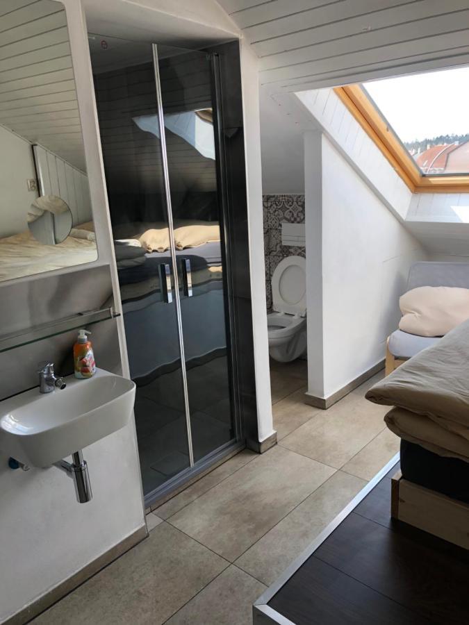 Apartman Krystof Františkovy Lázně 外观 照片